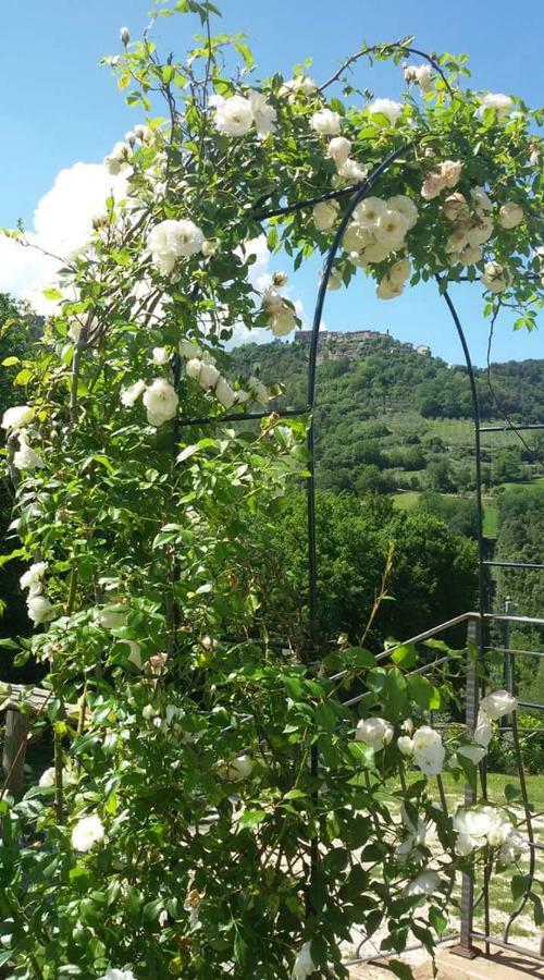 Agriturismo Isola Verde Sant'Urbano Luaran gambar