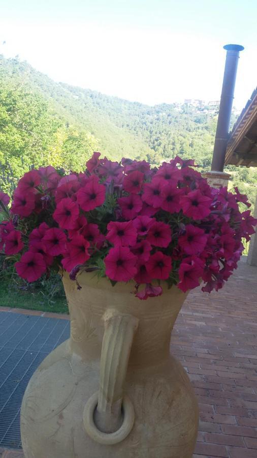 Agriturismo Isola Verde Sant'Urbano Luaran gambar