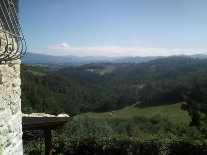 Agriturismo Isola Verde Sant'Urbano Luaran gambar